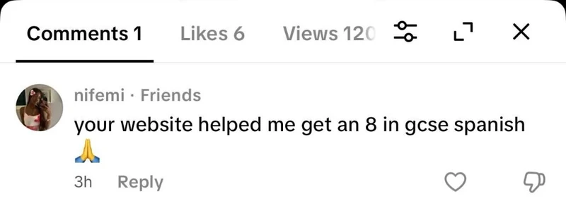 TikTok comment from nifemi: your website helped me get an 8 in GCSE Spanish